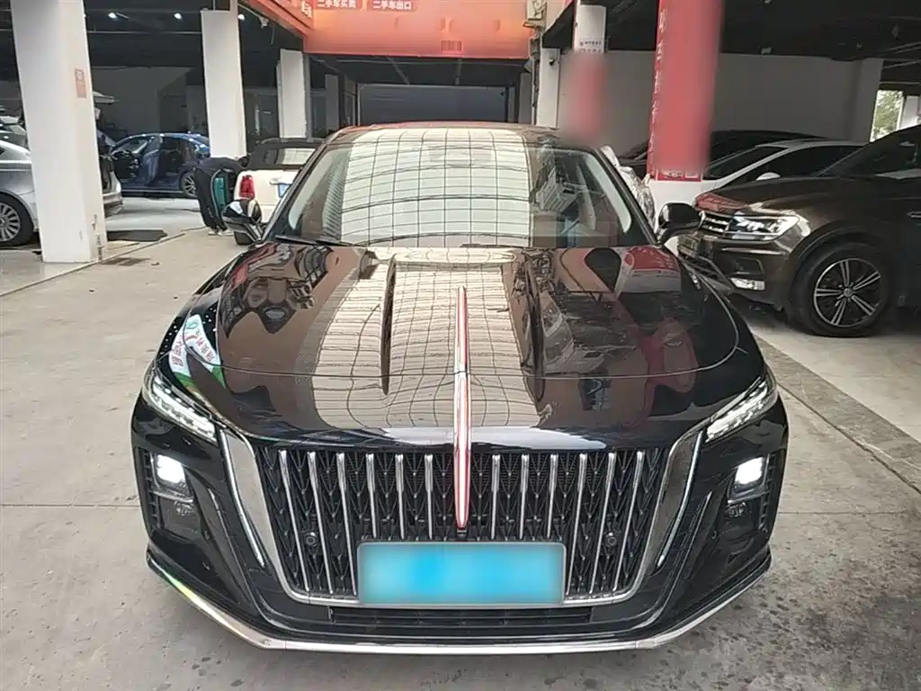 Hongqi H5 2023 2.0T Auto Smart Connect Flag Comfort фото 3
