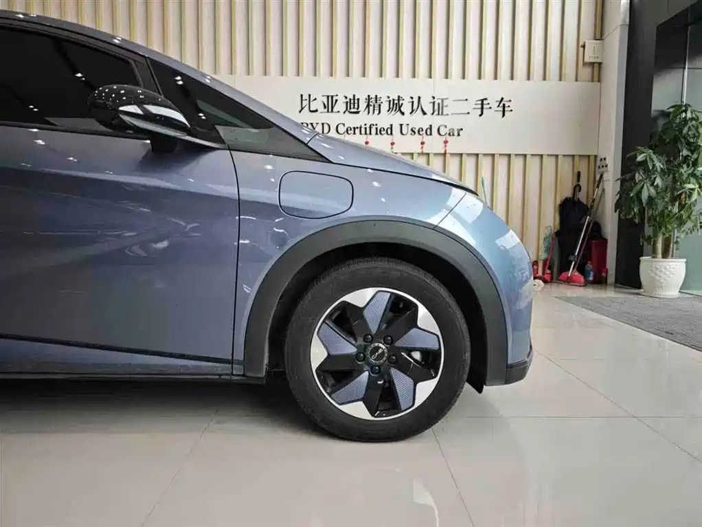 BYD Dolphin 2024 Glory Edition 420km Fashion Edition фото 15