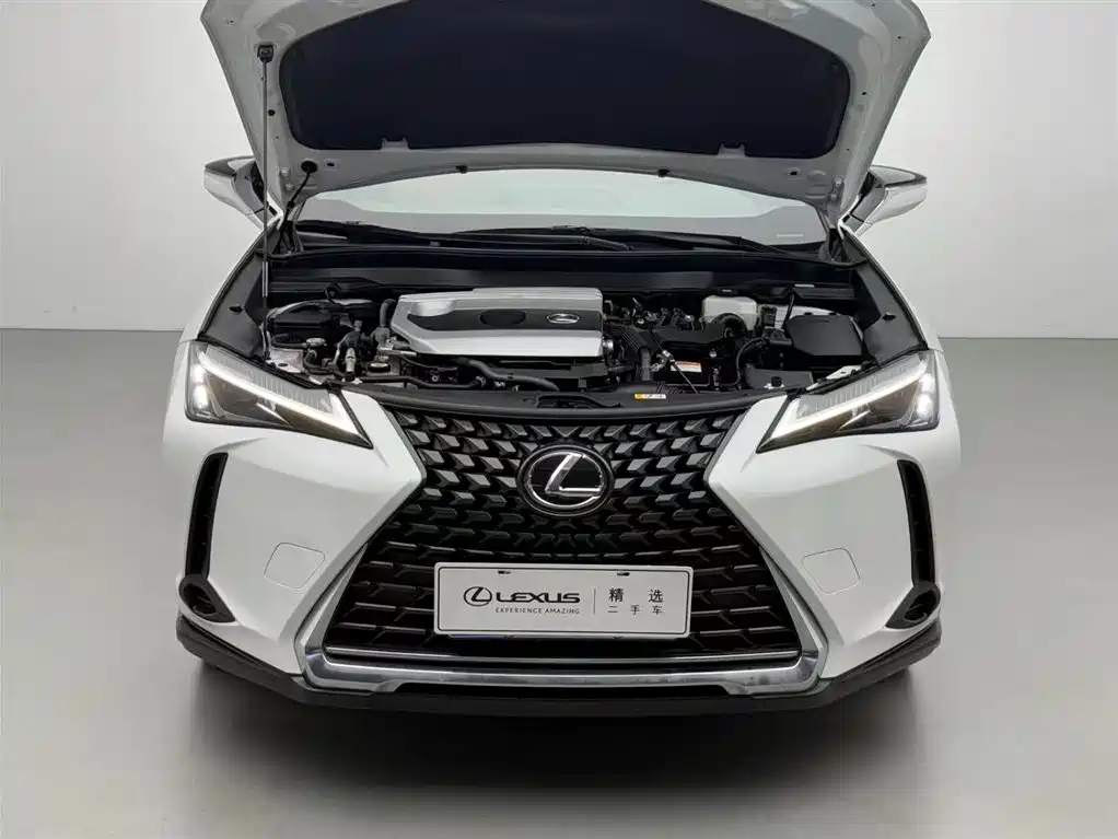 Lexus UX 2020 260h Explore Cool Edition China V фото 3