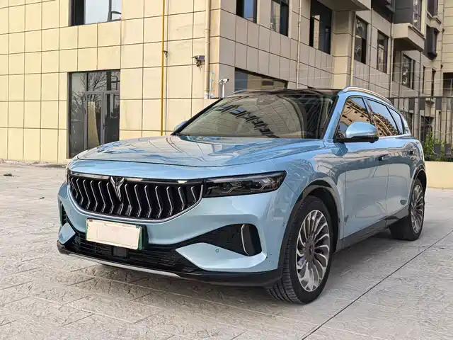 Voyah Auto VOYAH FREE 2021