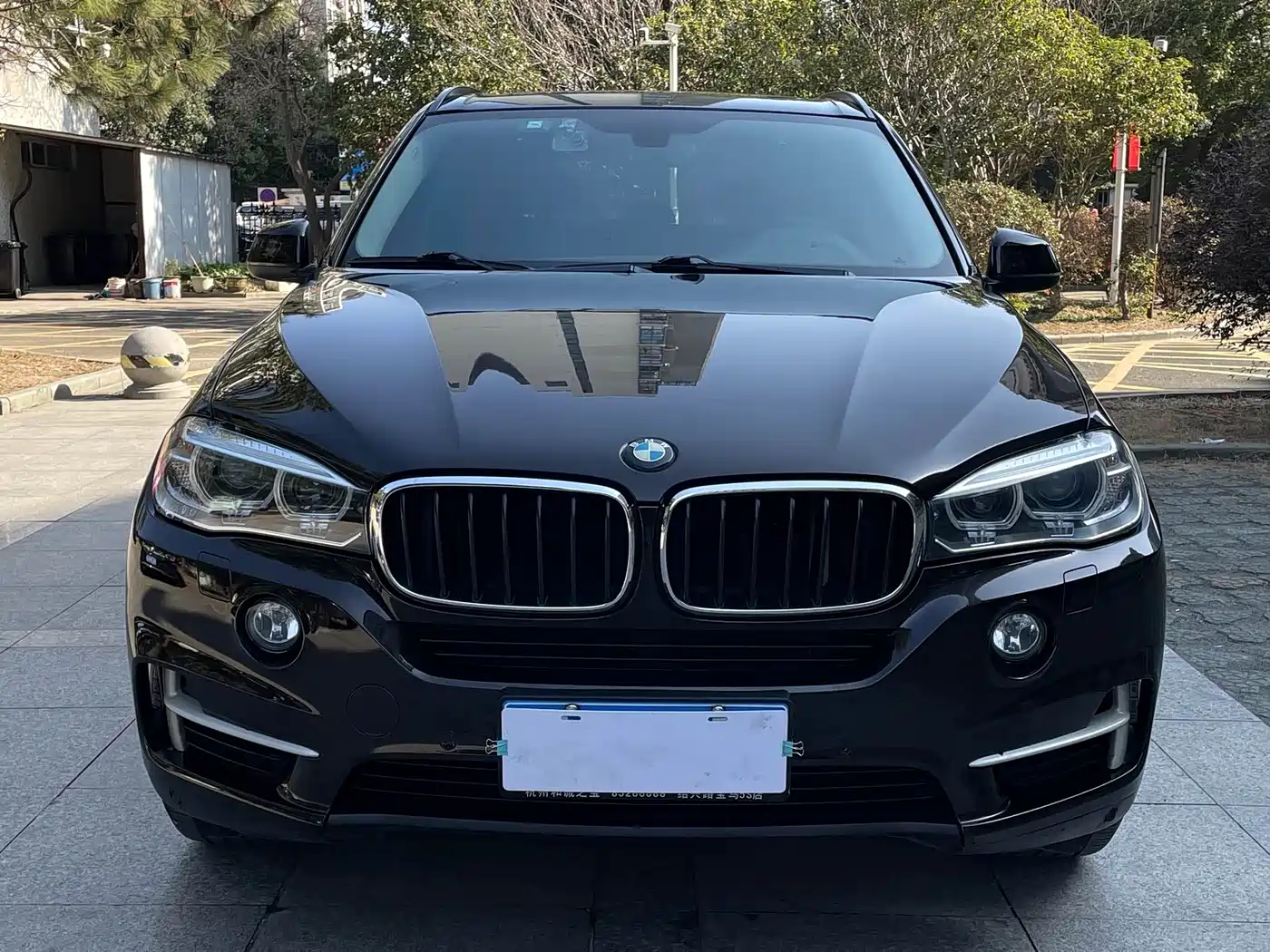 BMW X5 (Import) 2014 xDrive35i Elegance фото 2