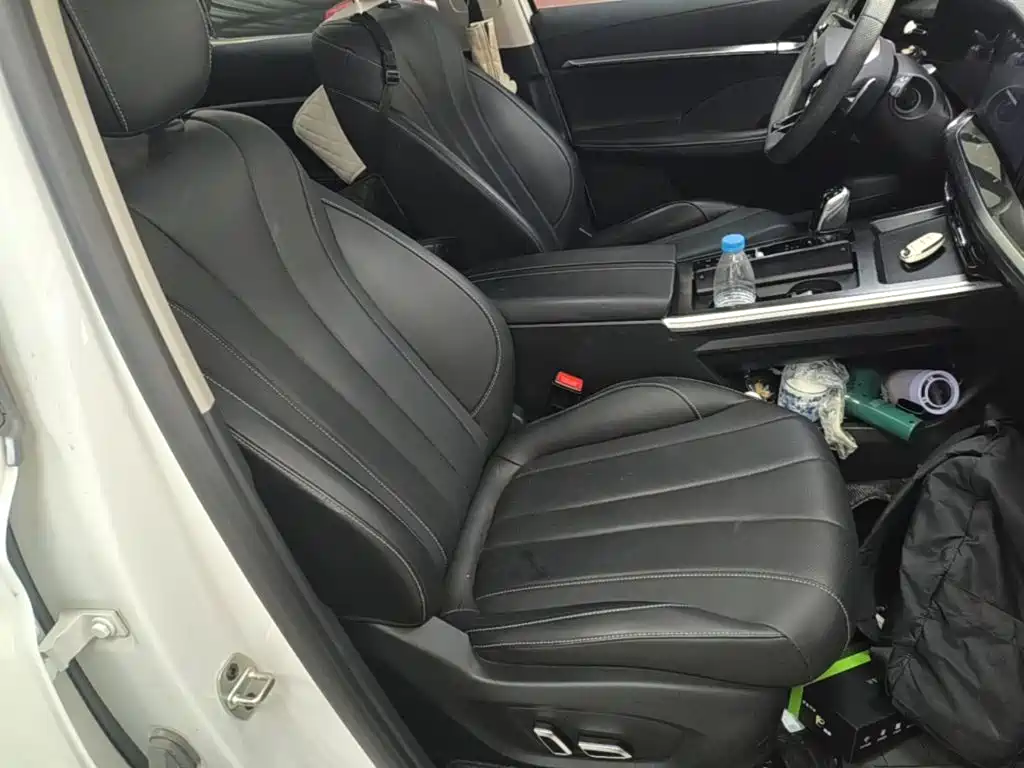 Roewe RX5 eMAX 2022 2022 1.5T PHEV Fearless Honor Edition