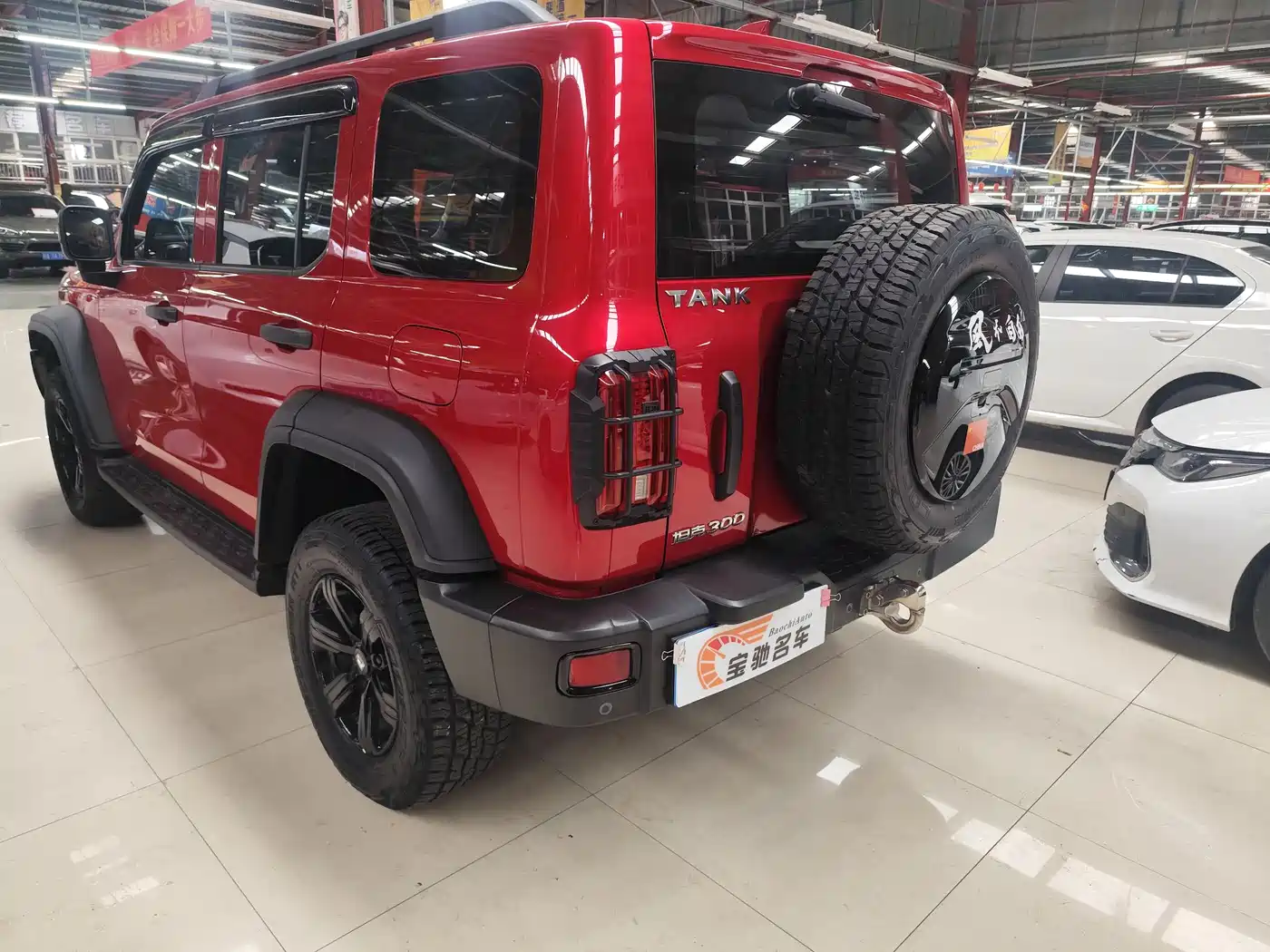 Tank 300 2023 Off-Road Edition 2.0T Conqueror фото 13