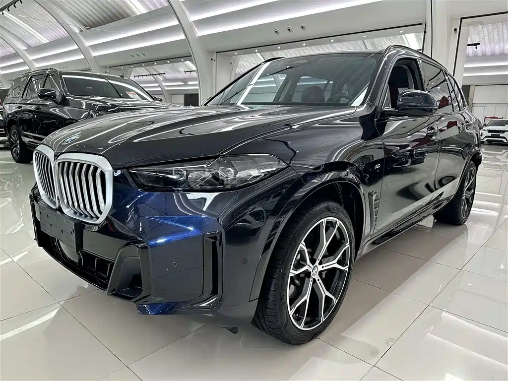 BMW X5 2023 xDrive 30Li Premium M Sport Black Night Package