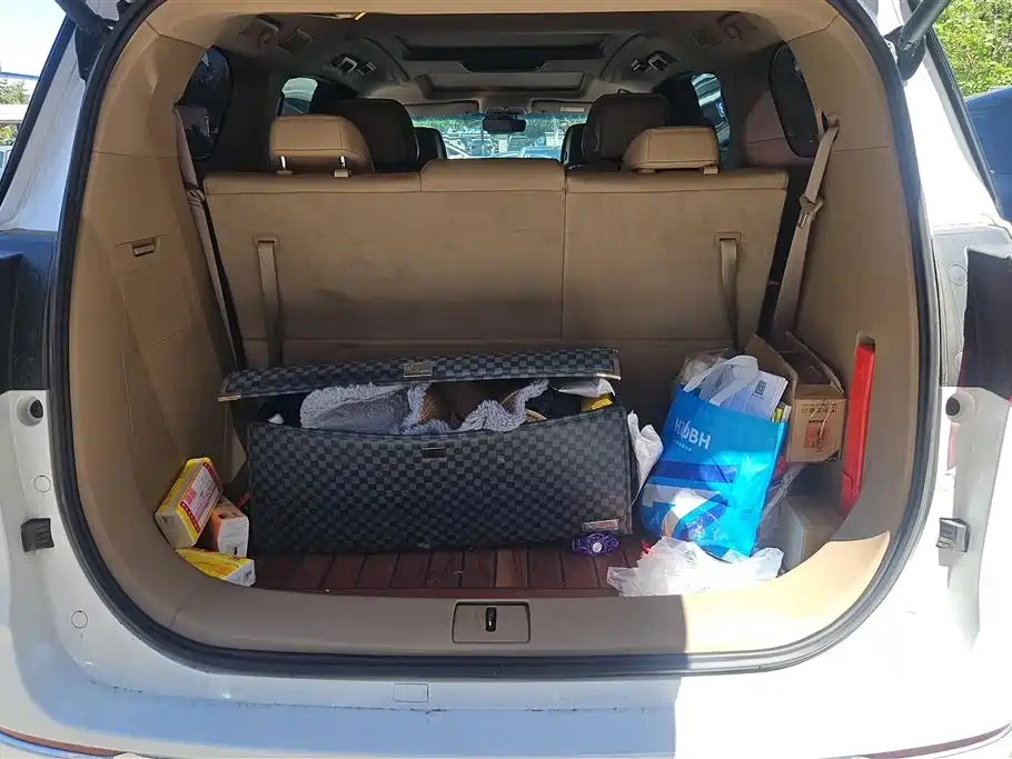 Buick GL8 2020 Model ES Landglory 653T Luxury фото 4