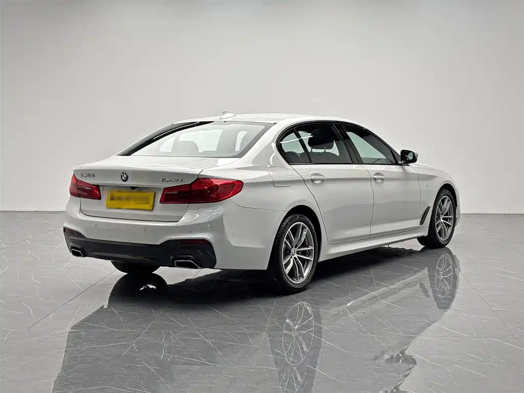 BMW 5 Series 2019 Facelift 525Li M Sport Package фото 6