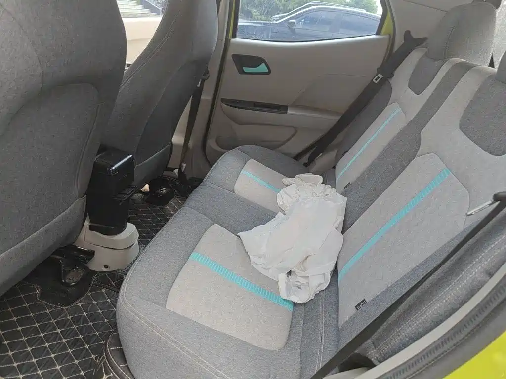 JMCG New Energy Little Kirin 2024 2023 Model Lucky Edition 201km Comfort