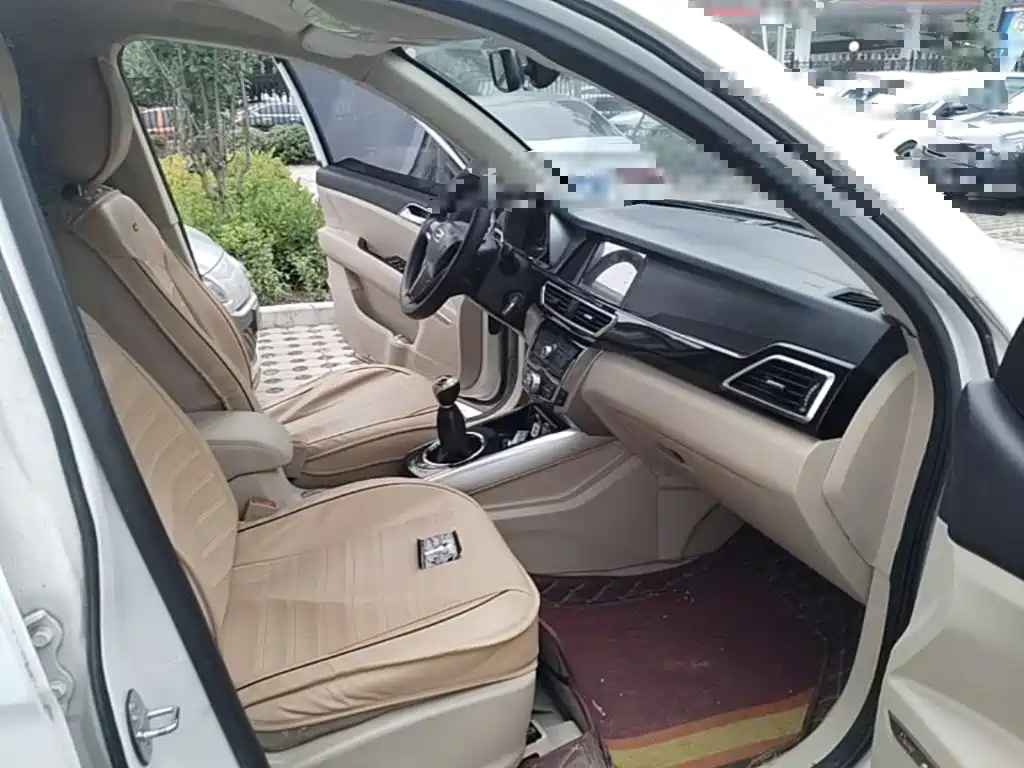 Фото 11 - Zotye Damai X5
