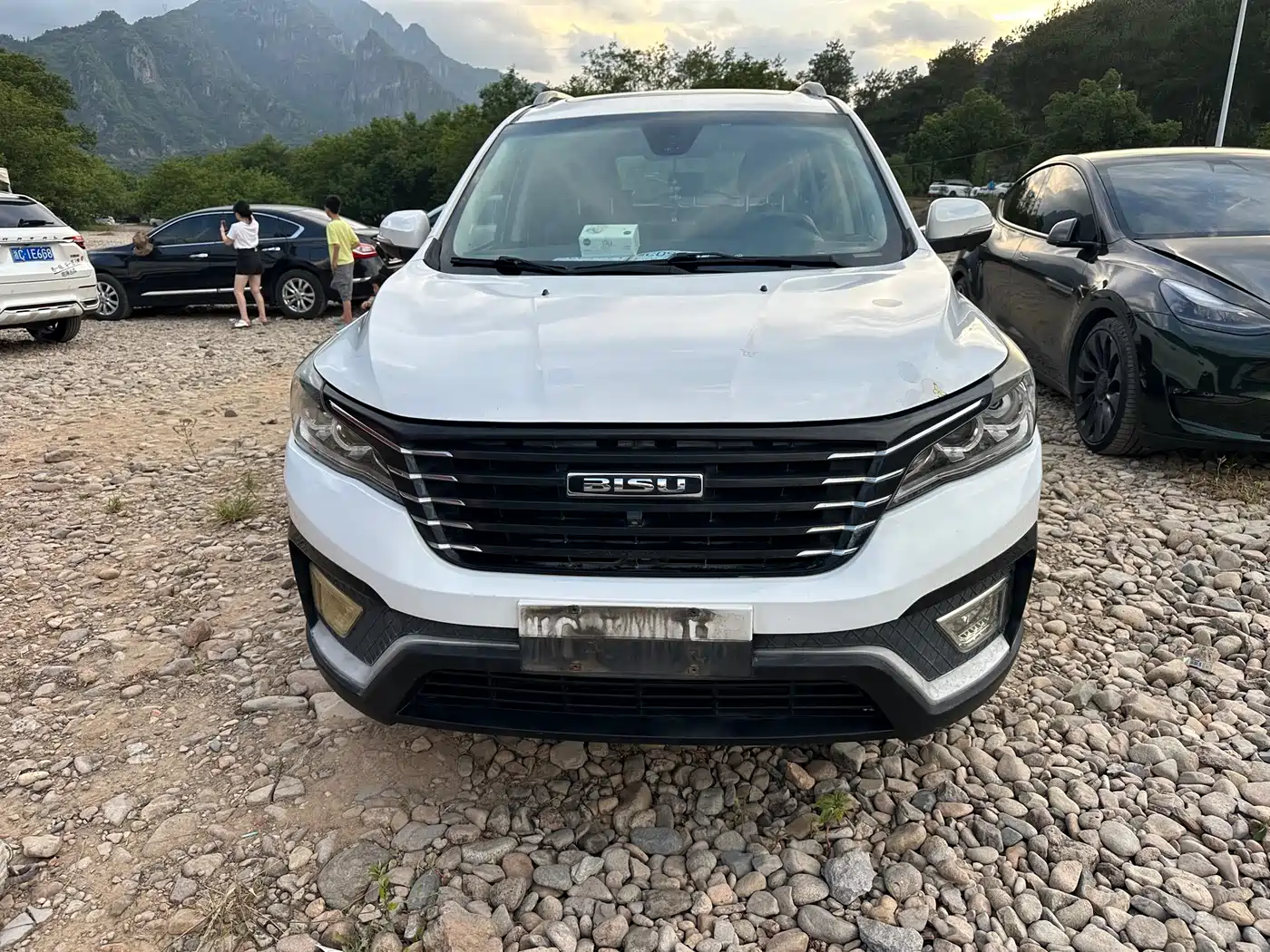 Bisu Auto Bisu T5 2017 2017 1.5T Manual Luxury