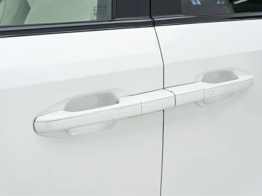 GAC Trumpchi Trumpchi E9 2023 E9 MAX фото 9