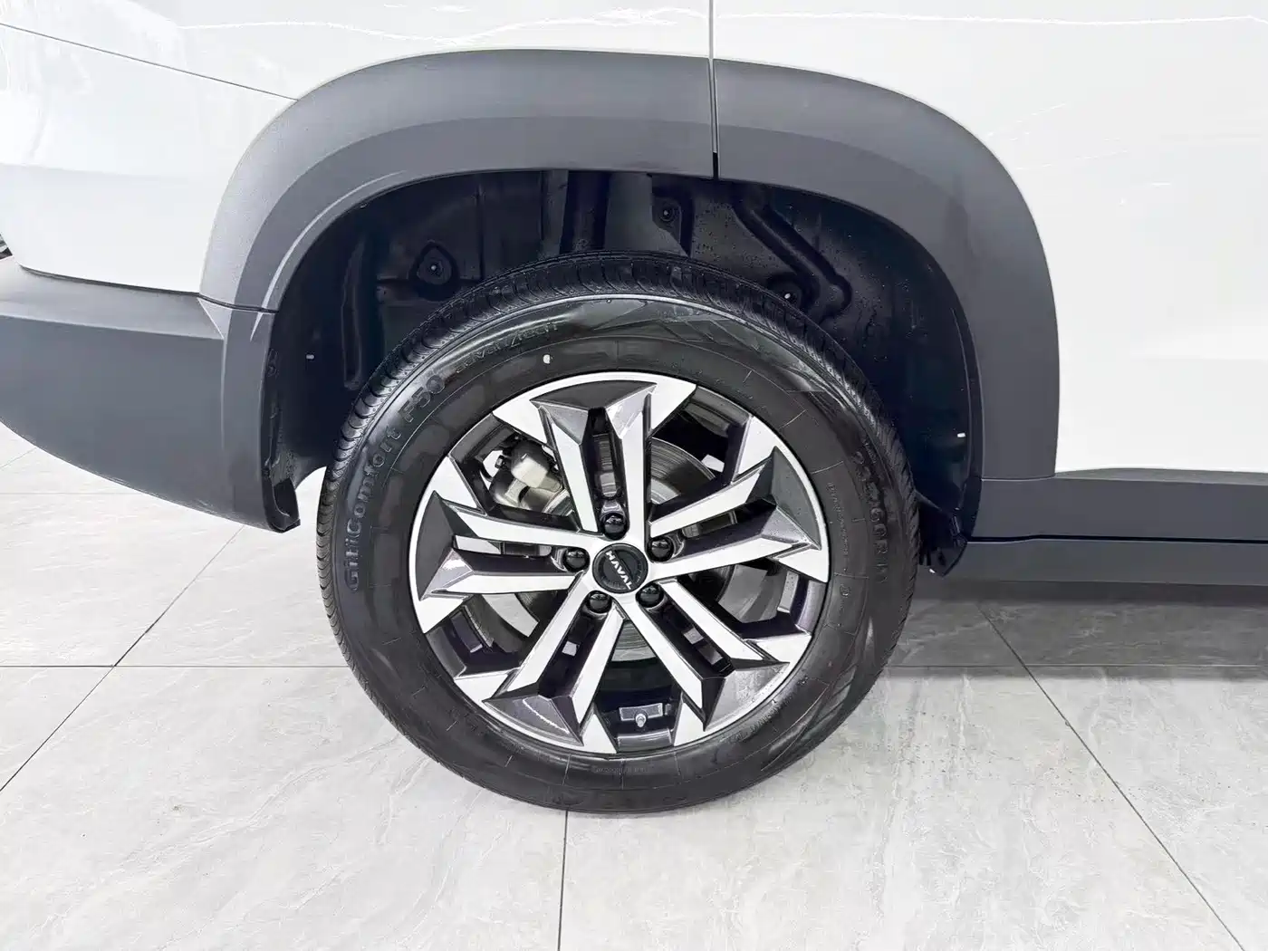 Haval Big Dog 2025 2024 1.5T DCT Border Collie Edition