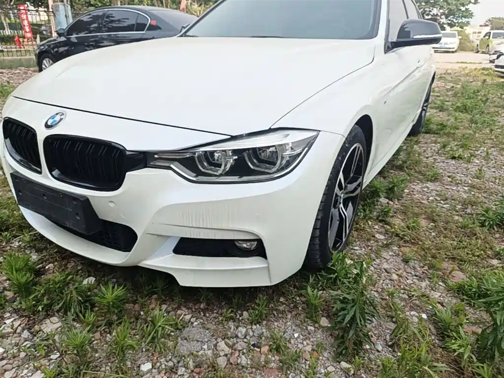 BMW 3 Series 2017 320Li M Sport фото 24