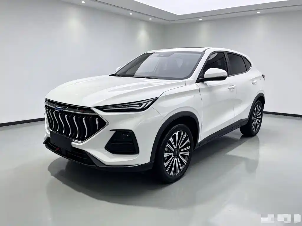 Фото 1 - Changan Oshan Changan Oushang X5
