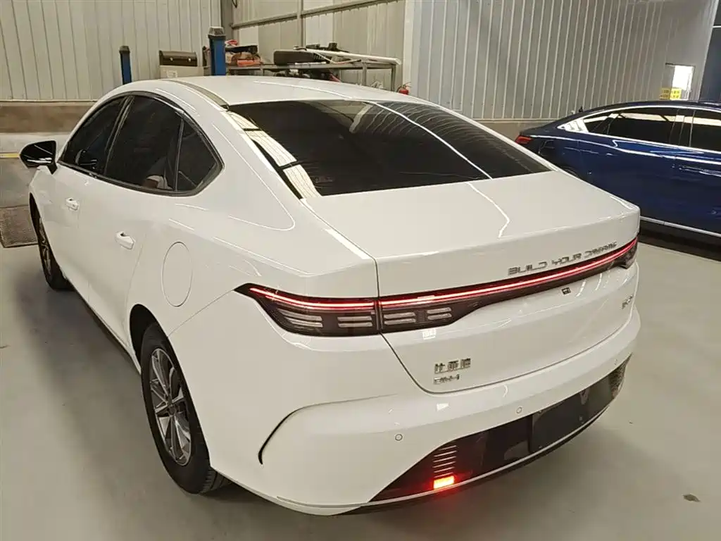 BYD Destroyer 05 2024 Glory Edition DM-i 55KM Luxury фото 5