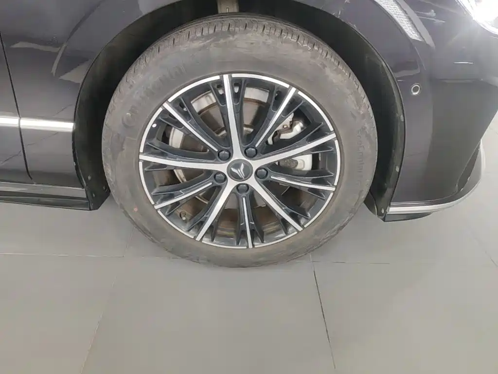 Voyah Auto VOYAH Zhuiguang 2024 2024 PHEV AWD Ultra-long Range Executive Edition