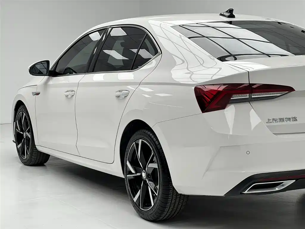 Škoda Octavia 2022 PRO TSI280 Luxury Edition фото 14
