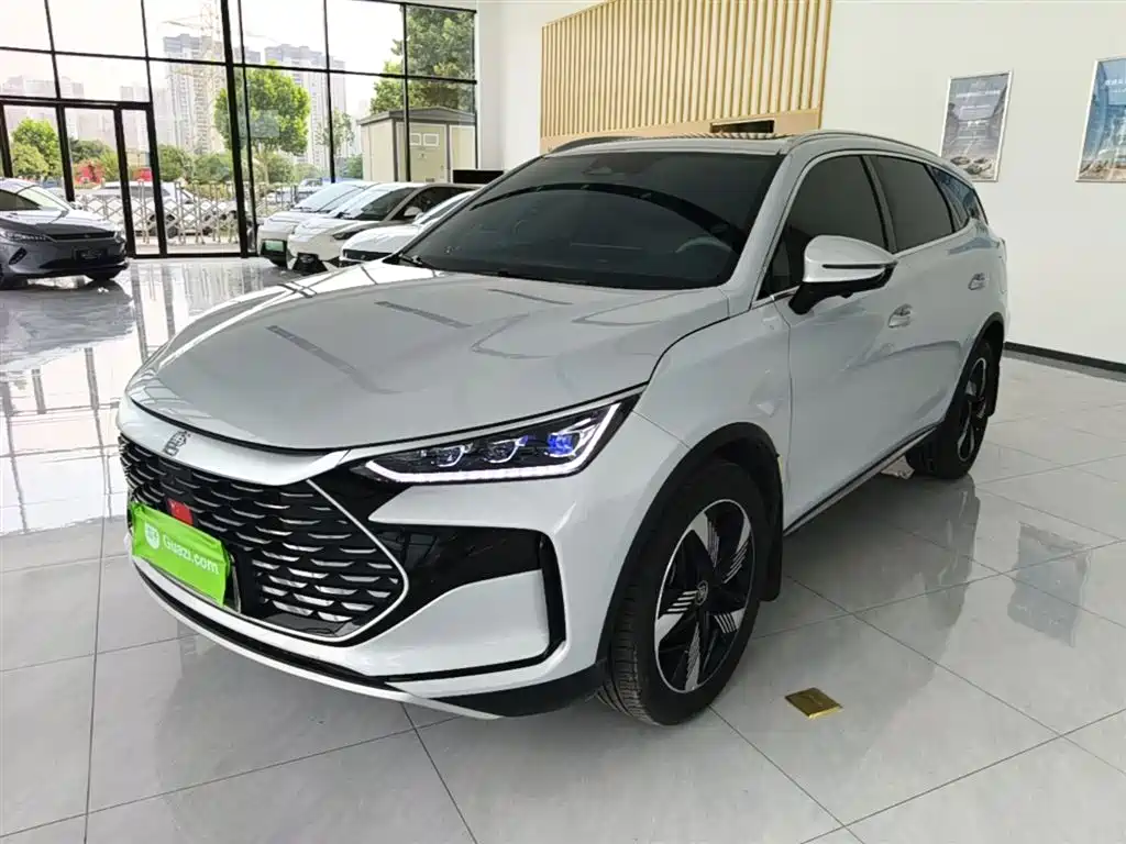 BYD Tang New Energy 2024 DM-i Honor Edition 112KM Premium фото 2