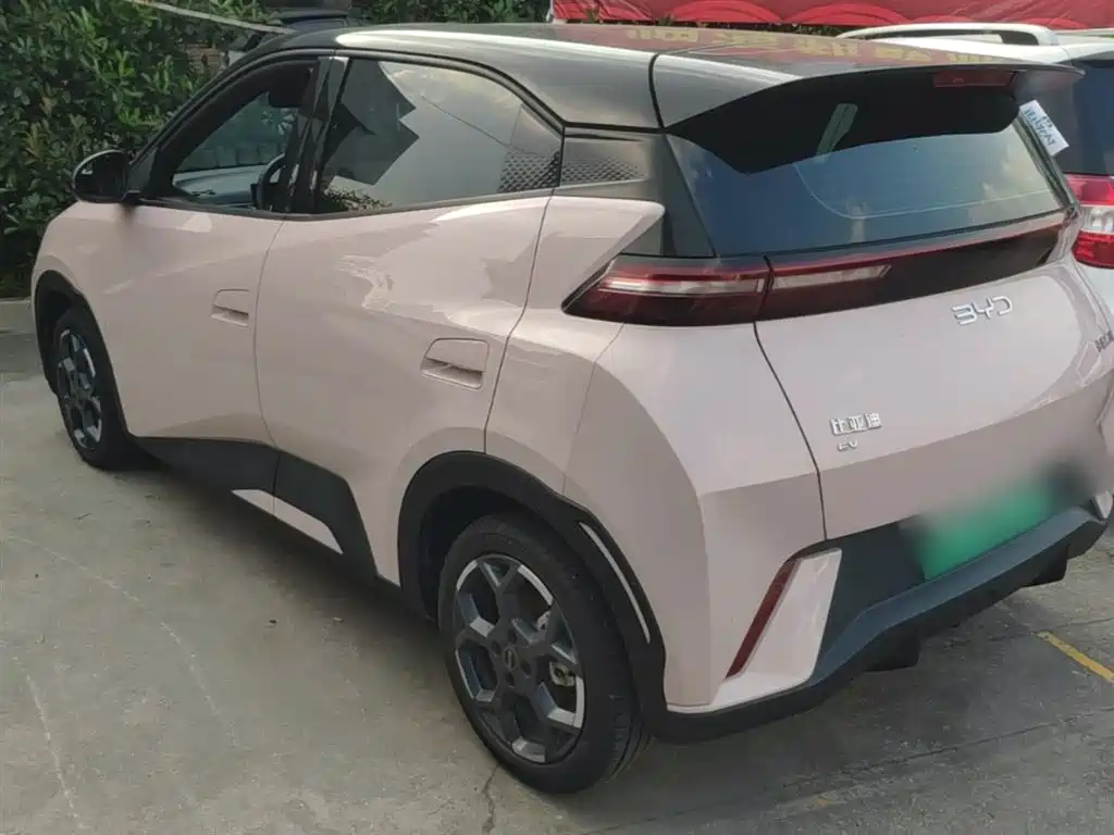 BYD Seagull 2024 Glory Edition 305km Freedom Edition фото 5