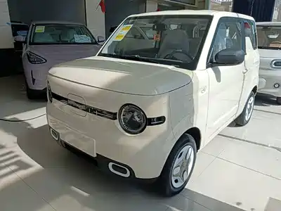 Geely Panda