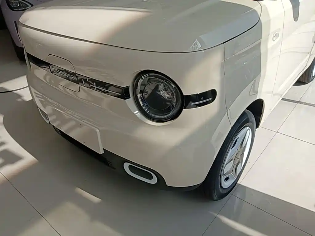 Geely Galaxy Panda 2026 2025 Panda mini 210km Vitality Bear