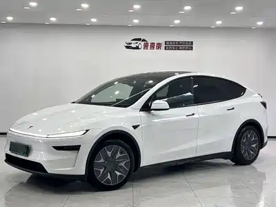 Tesla Model Y L