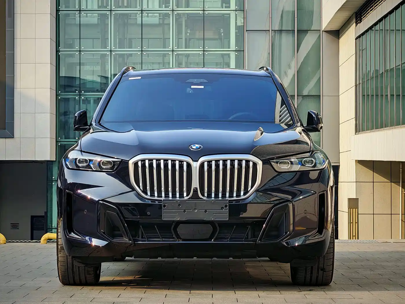 BMW X5 2023 xDrive 40Li Premium M Sport Black Night Package фото 3