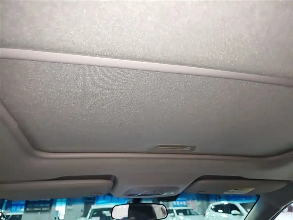 Chevrolet Cavalier 2019 320 Auto Sunroof Enjoyment Edition фото 18