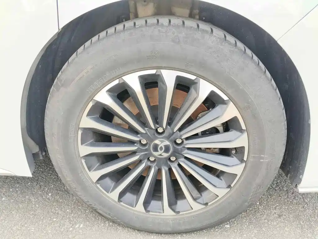 Hycan Auto Hycan V09 2024 2023 Honor Edition 762