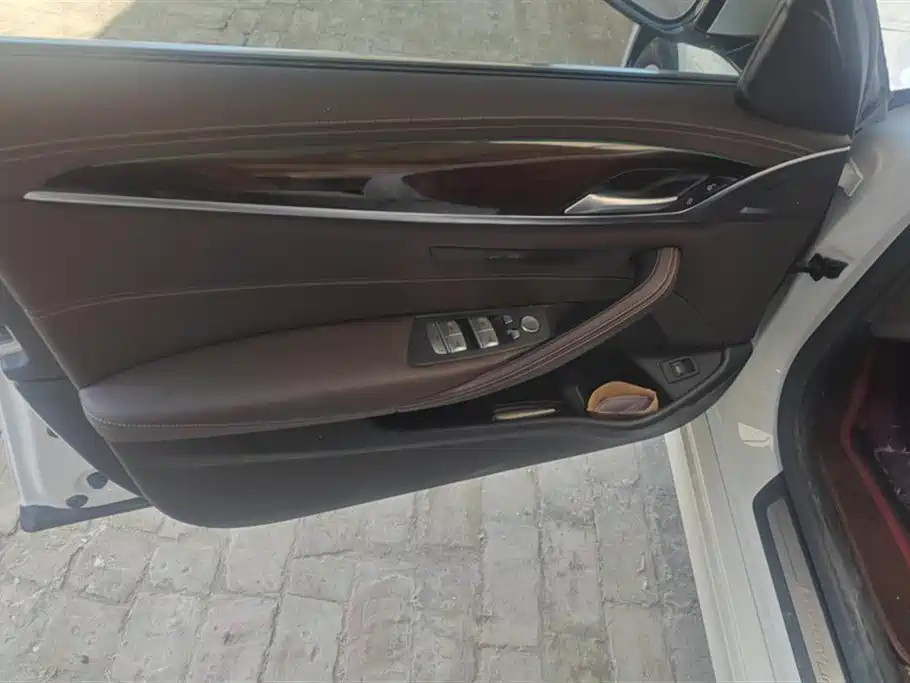 BMW 5 Series 2020 525Li Luxury Package фото 7