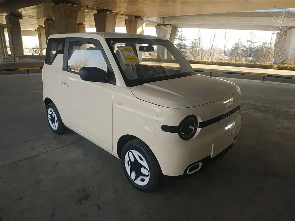 Geely Galaxy Panda 2025 Panda mini 210km Vitality Bear фото 4
