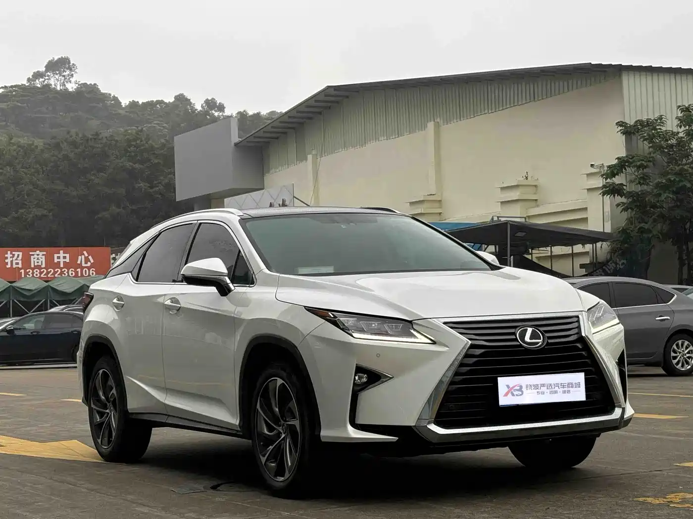 LEXUS RX