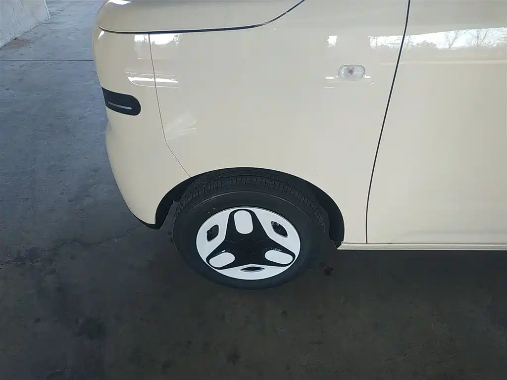 Geely Galaxy Panda 2025 Panda mini 210km Vitality Bear фото 23