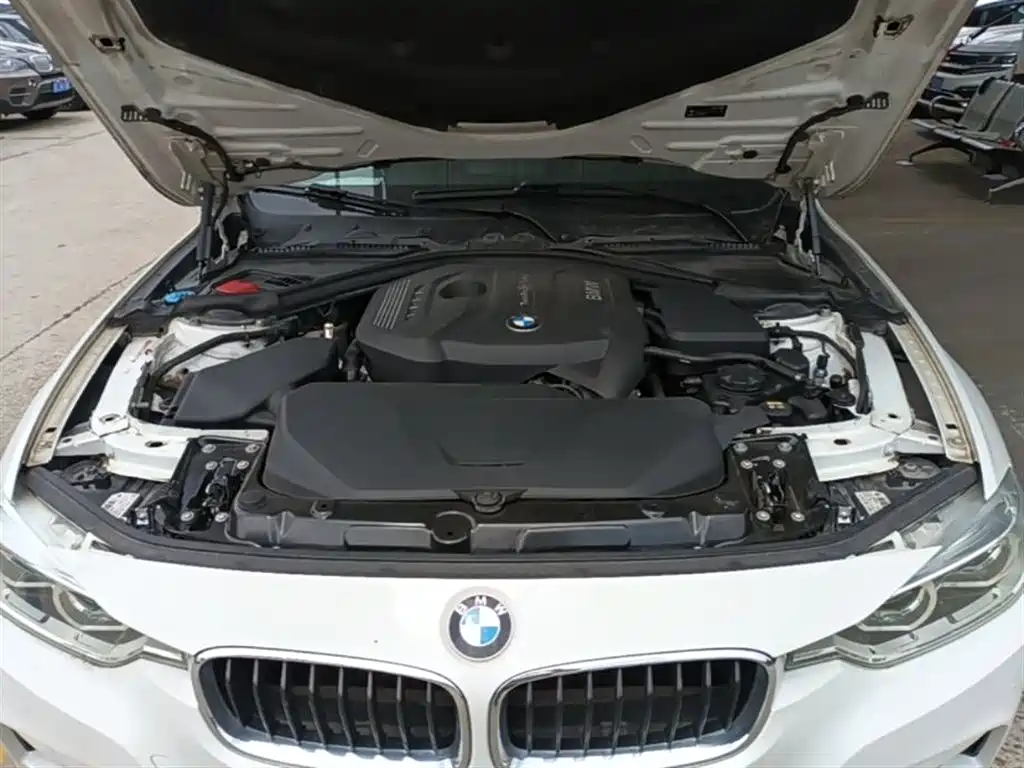 BMW 3 Series 2018 320Li Leading M Sport Package фото 20