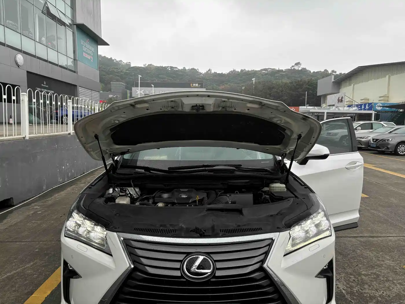 LEXUS RX
