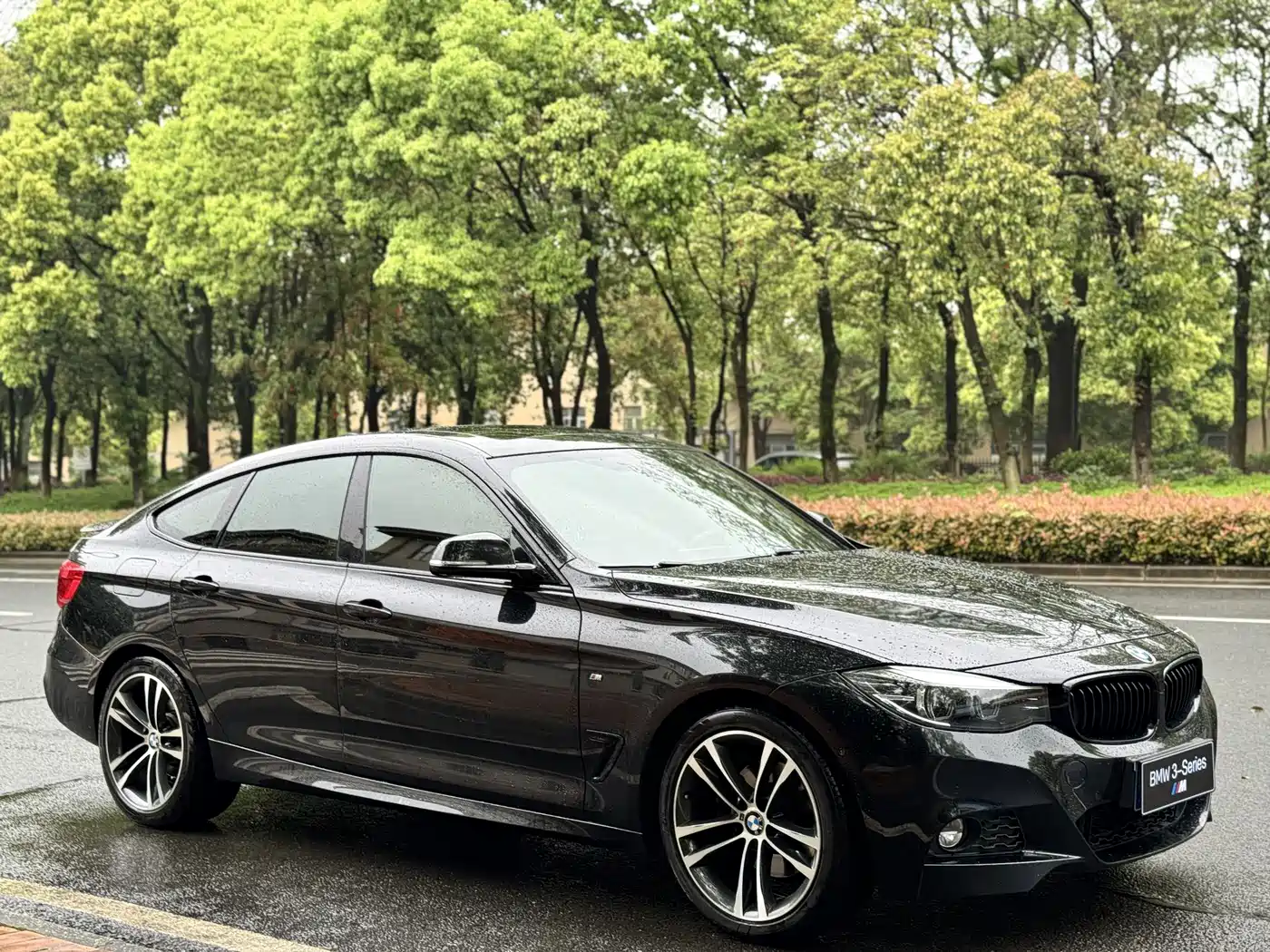BMW 3 Series GT 2018 330i xDrive M Sport фото 3