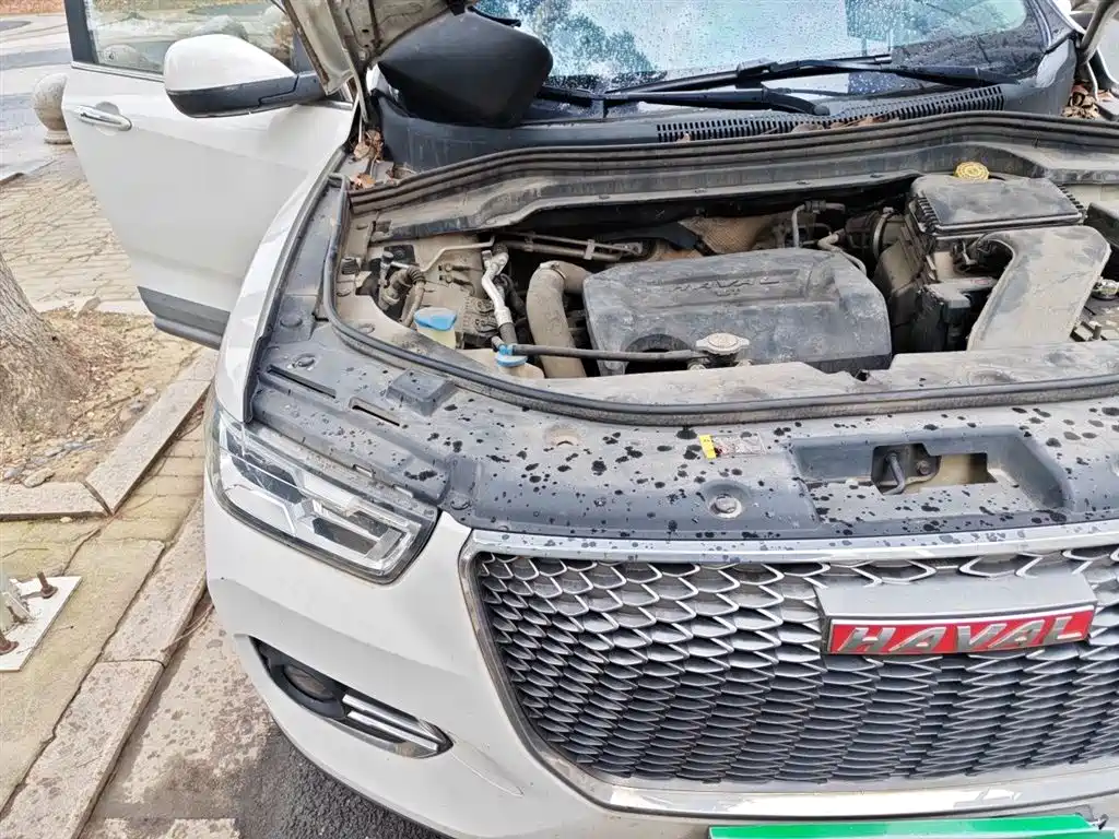 Haval H2s 2018 Red Label 1.5T DCT Smart Elite Type фото 21