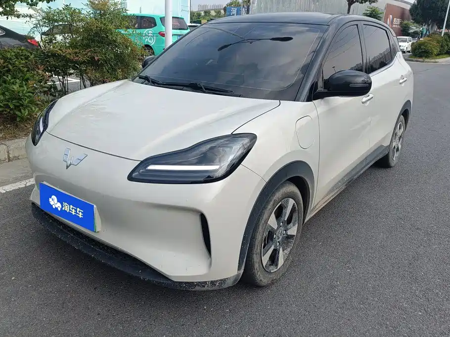 Wuling Motors Wuling Binguo PLUS 2025 2024 Model 510km Flagship Edition 4-Seater