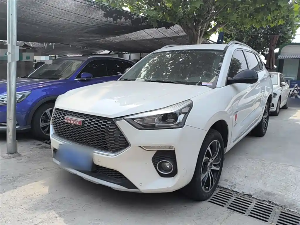 Haval H6 Coupe 2018 Red Label 1.5T Auto 2WD Ultra Luxury фото 2