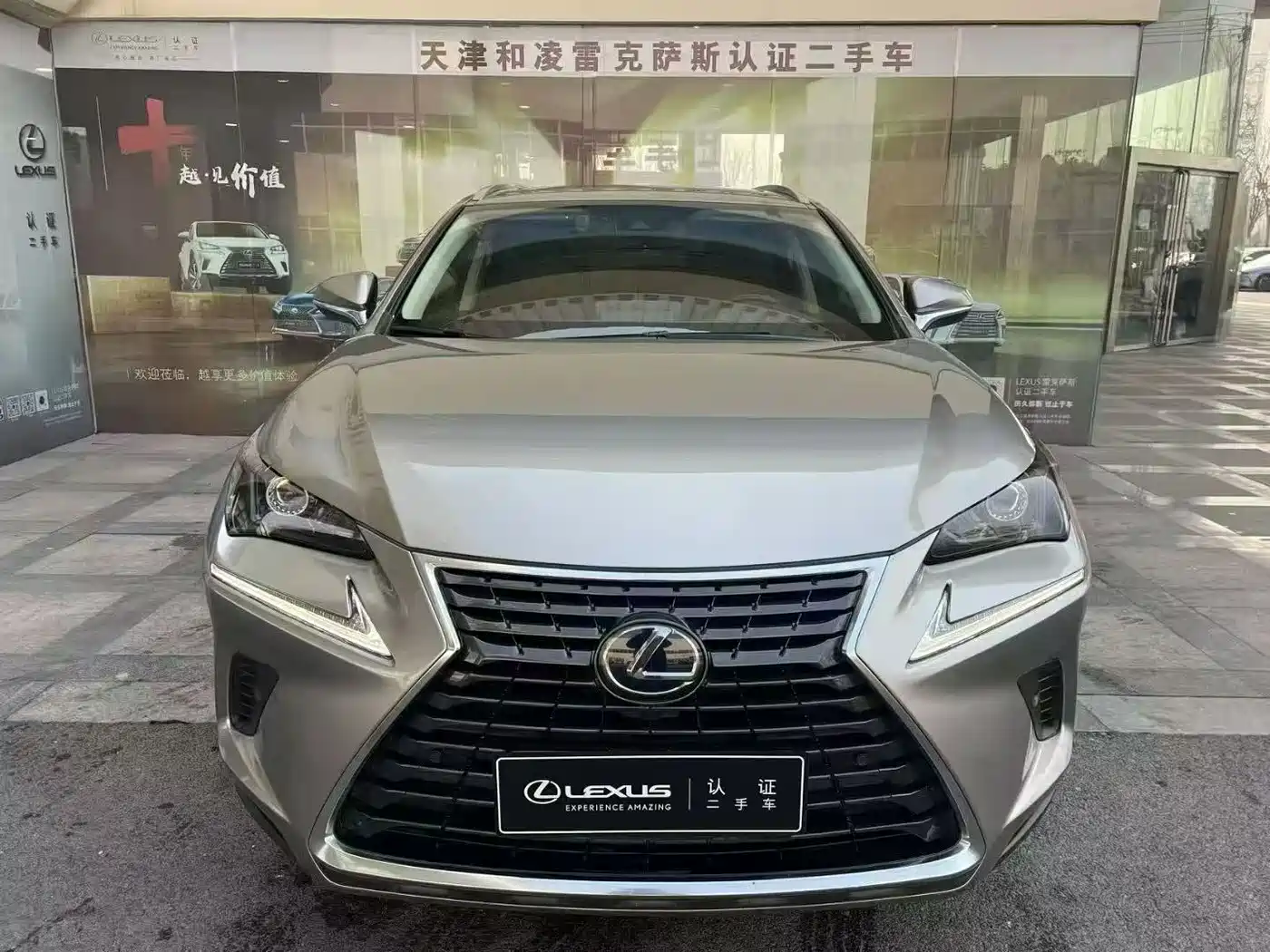LEXUS NX
