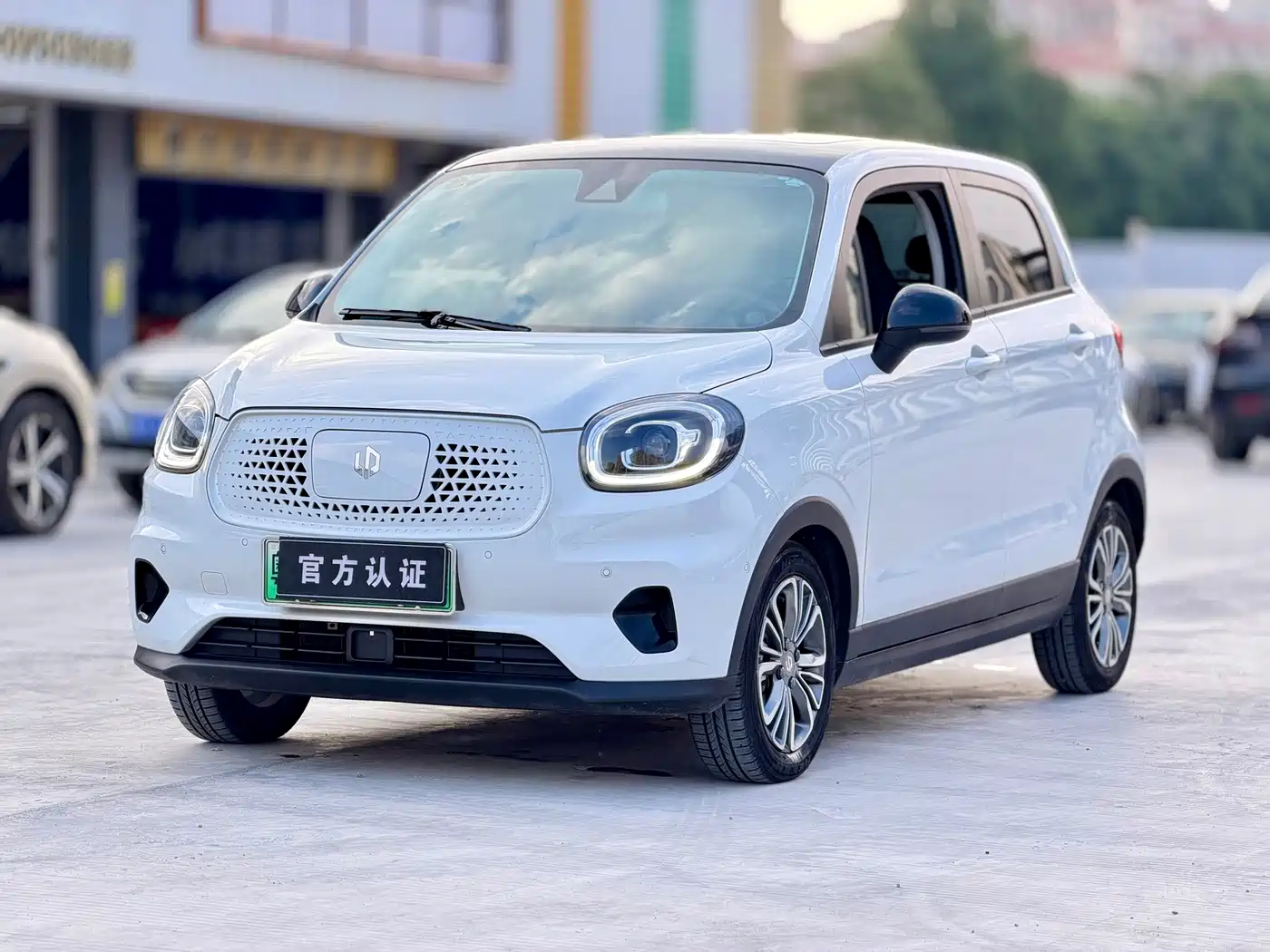 Leapmotor T03 2021 2021 400 Luxury Edition