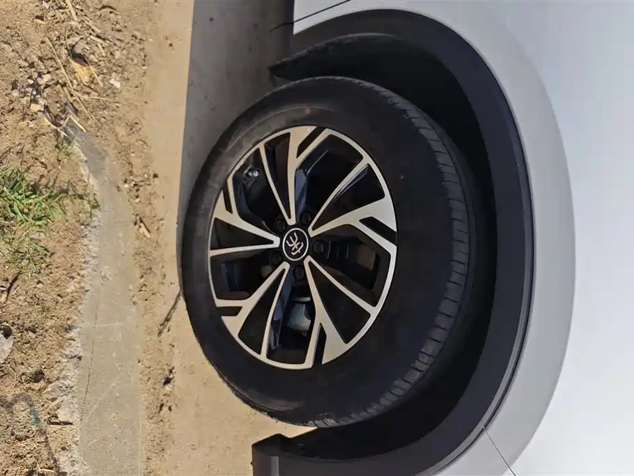 BYD Song Pro New Energy 2025 2nd Gen DM-i 75KM Surpass фото 6