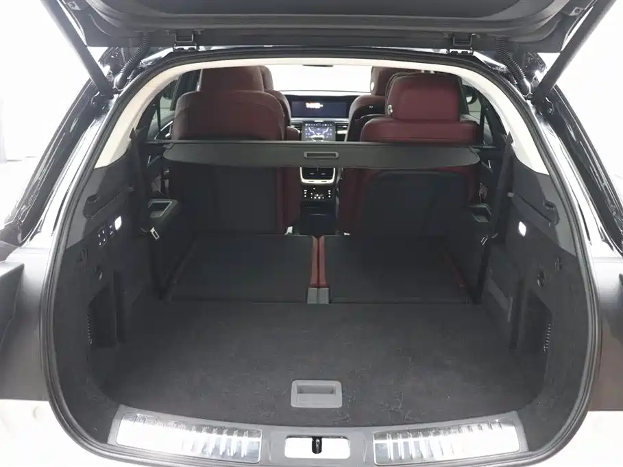 Hongqi E-HS9 2022 660km Qi Chang Edition (6-seater) фото 35