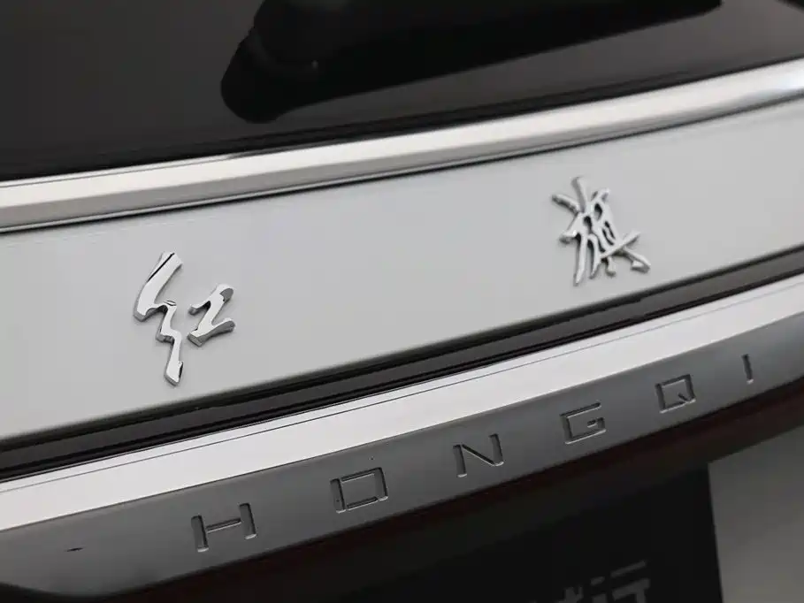 Hongqi E-HS9 2022 660km Qi Chang Edition (6-seater) фото 32