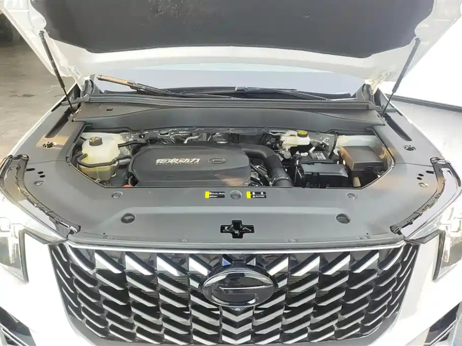 GAC Trumpchi Trumpchi GS8 2025 Pilot Series 2.0TGDI 2WD Luxury Edition 5-seater фото 10