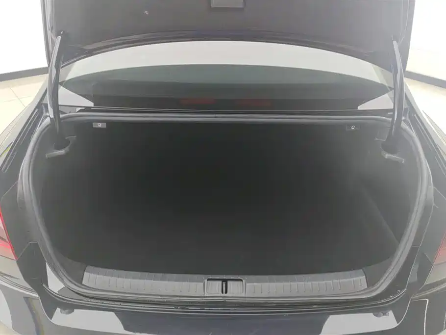 Volkswagen Magotan 2020 330TSI DSG Leading фото 4