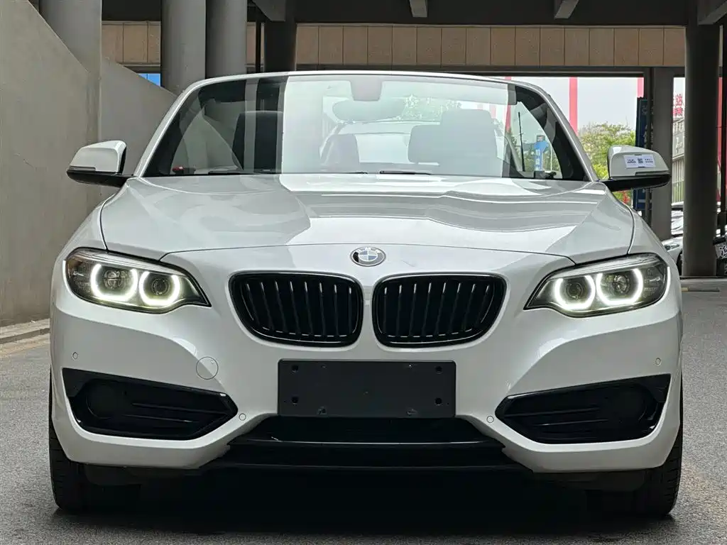 BMW 2 Series (Import) 2019 225i Convertible Coupe Sport Design Package фото 2