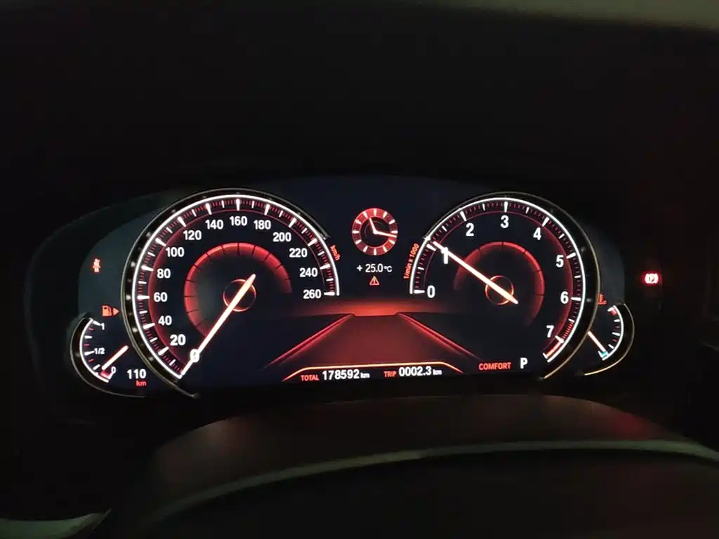 BMW 5 Series 2018 Facelift 530Li Leading Luxury Package фото 12
