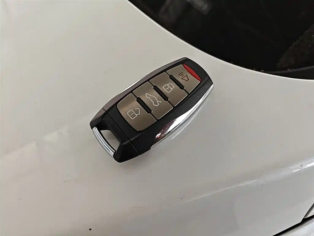 Haval H6 2023 National Trend Edition 1.5T Automatic Champion фото 9