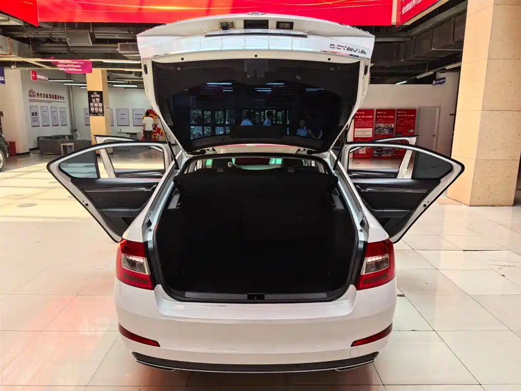 Škoda Octavia 2016 1.6L Automatic Smart Edition фото 15
