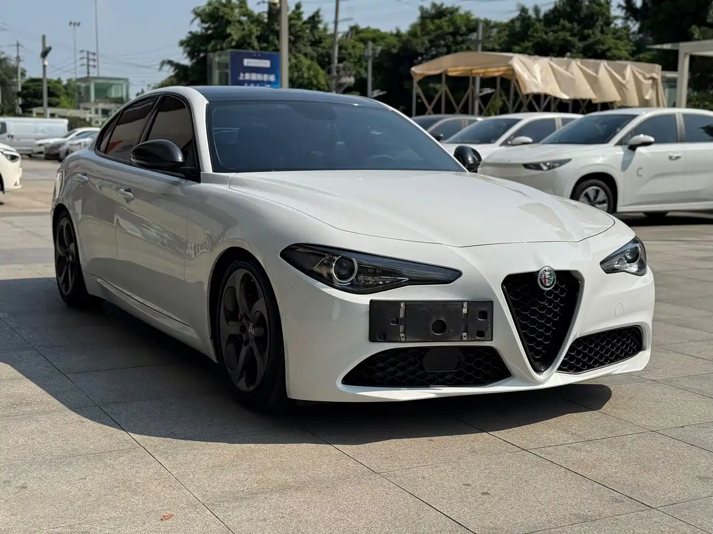 Alfa Romeo Giulia 2020 2019 2.0T 280HP Black Package Limited Edition